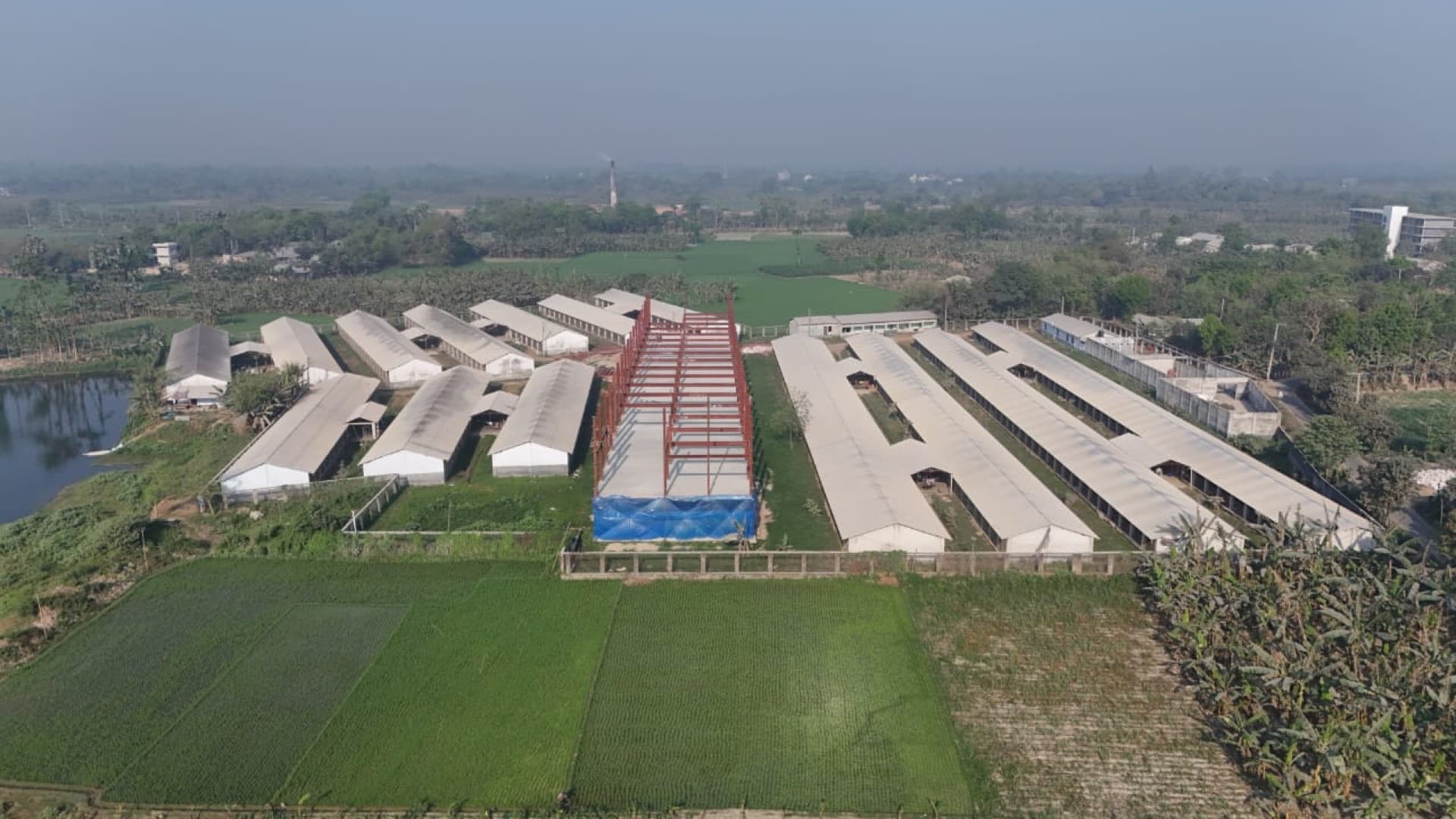 Aerial of FreshWay's Sonali breeder farm in Joypurhat