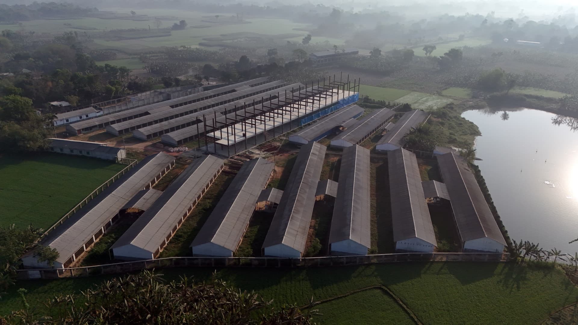 FreshWay's Sonali breeder farm at dawn in Joypurhat
